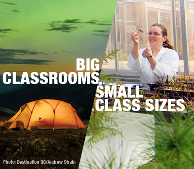 Big Classrooms - Small Class Sizes