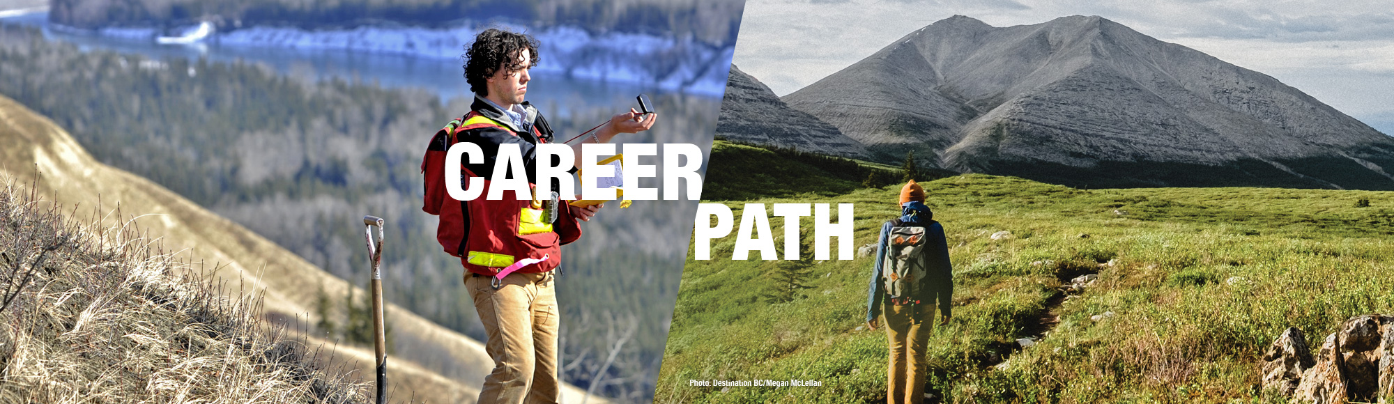 Career - Path