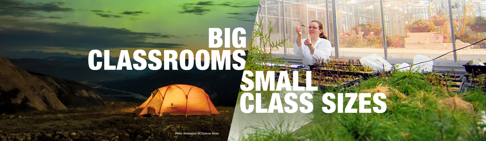 Big Classrooms - Small Class Sizes